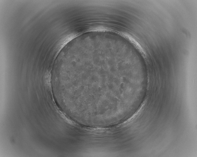 X0000115301329200912141108