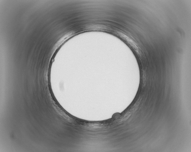 X0000115301330200912141108