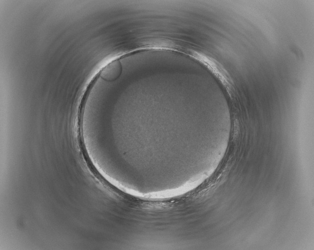 X0000115301331200912141108