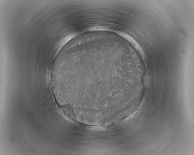 X0000115301337200912141108