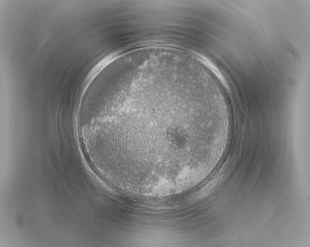 X0000115301338200912141108