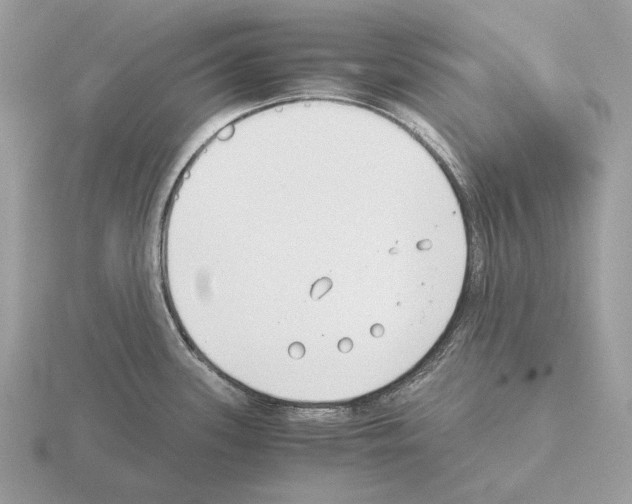 X0000115301339200912141109