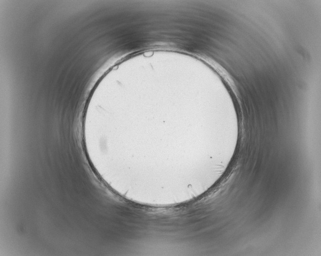 X0000115301341200912141109