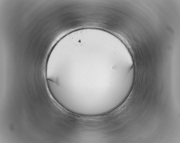 X0000115301342200912141109