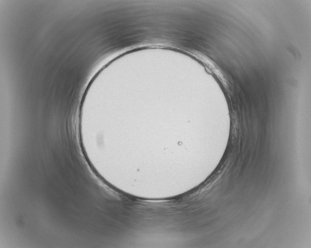 X0000115301343200912141109