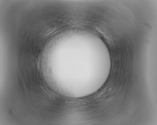 X0000115301348200912141108