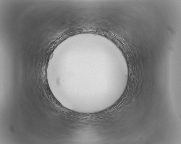 X0000115301349200912141108