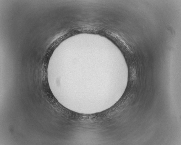 X0000115301350200912141108