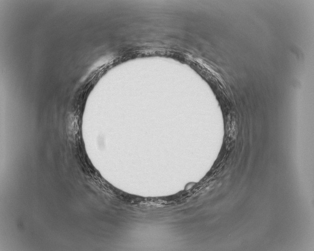 X0000115301351200912141108