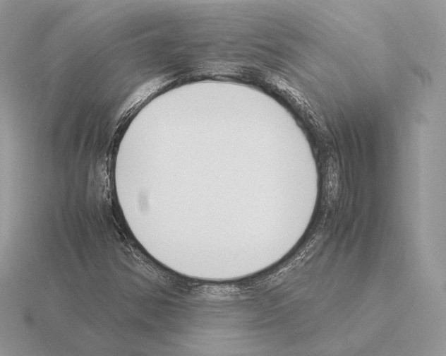 X0000115301354200912141108