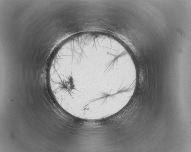 X0000115301356200912141108