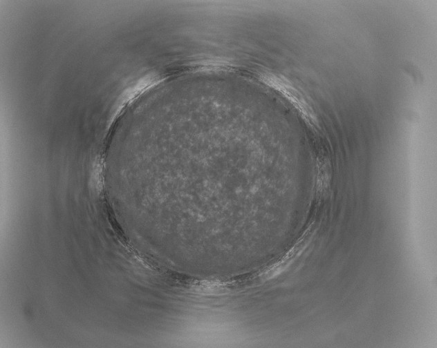 X0000115301357200912141108