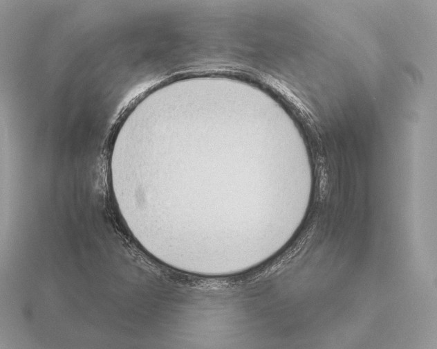 X0000115301358200912141108