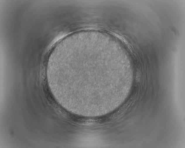 X0000115301359200912141108