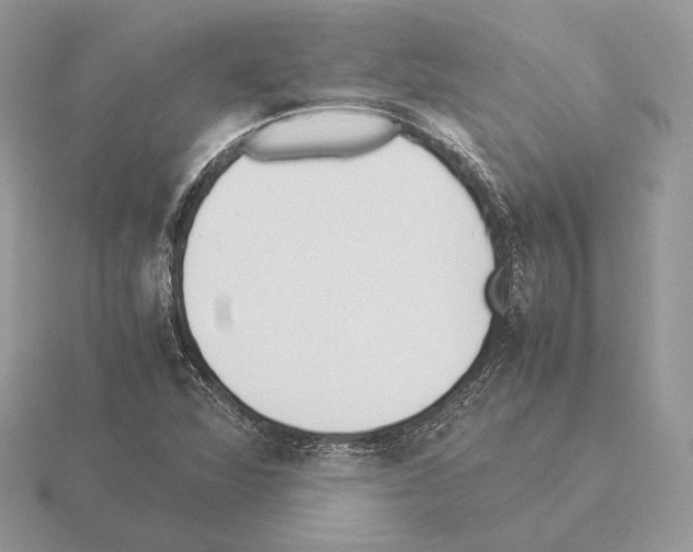 X0000115301360200912141108