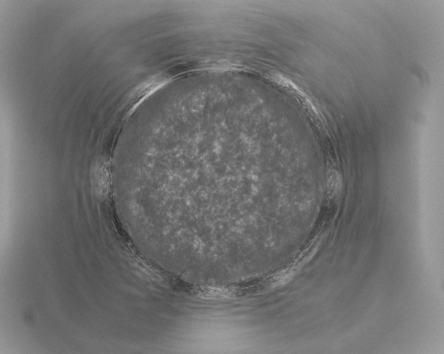 X0000115301361200912141108