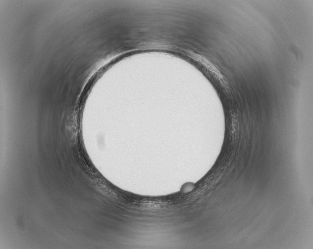 X0000115301364200912141108