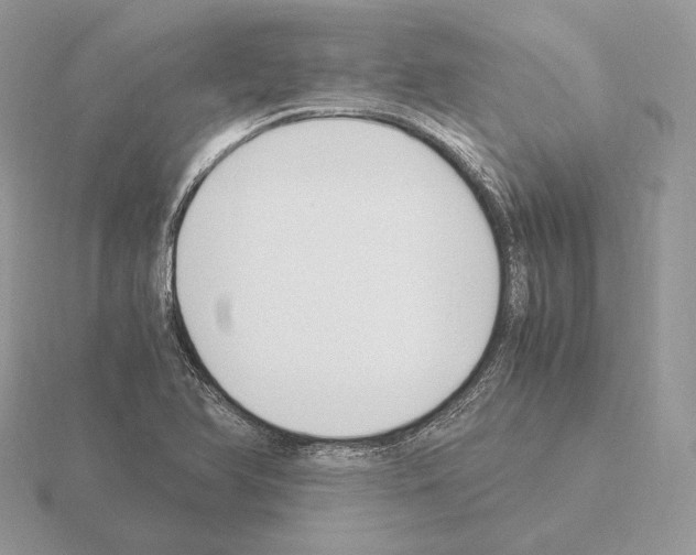 X0000115301366200912141108