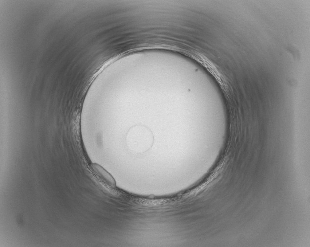 X0000115301369200912141107