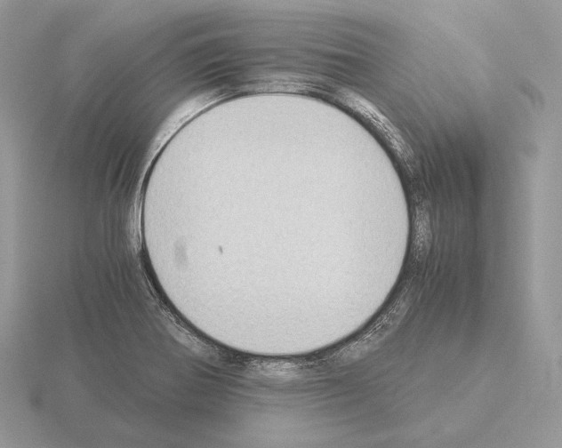 X0000115301370200912141107