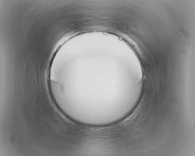 X0000115301373200912141107