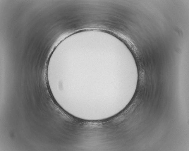 X0000115301374200912141107