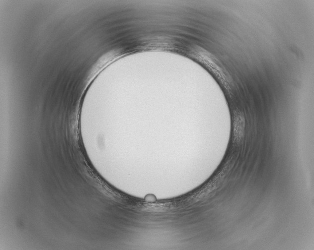 X0000115301378200912141107