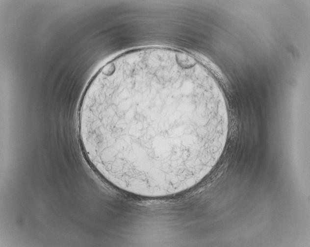 X0000115301380200912141107