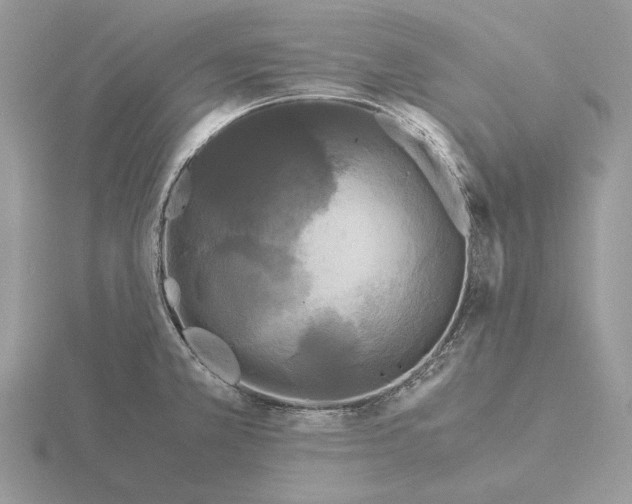 X0000115301381200912141107