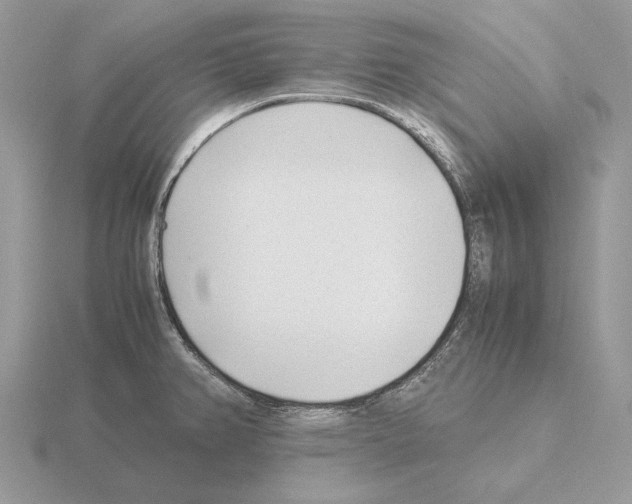 X0000115301382200912141107