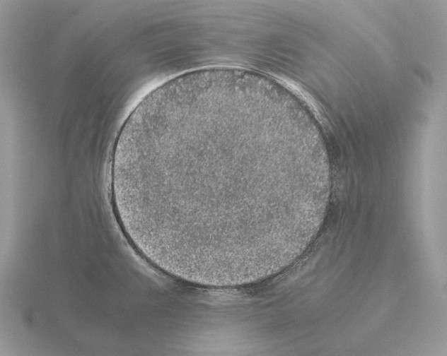 X0000115301383200912141107