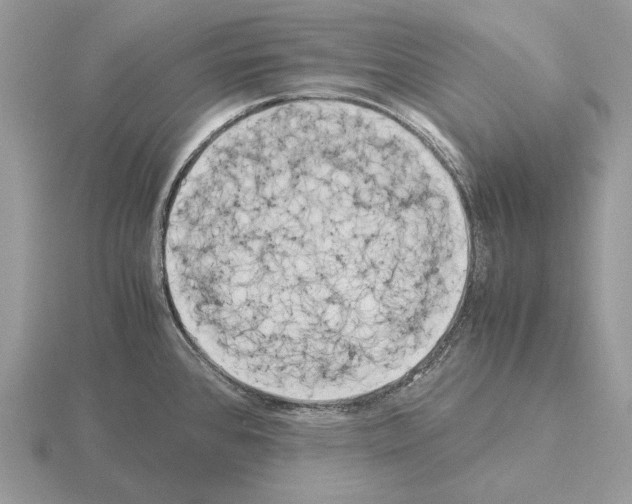 X0000115301384200912141107