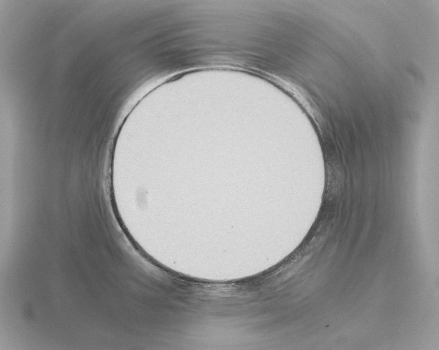 X0000115301387200912141107