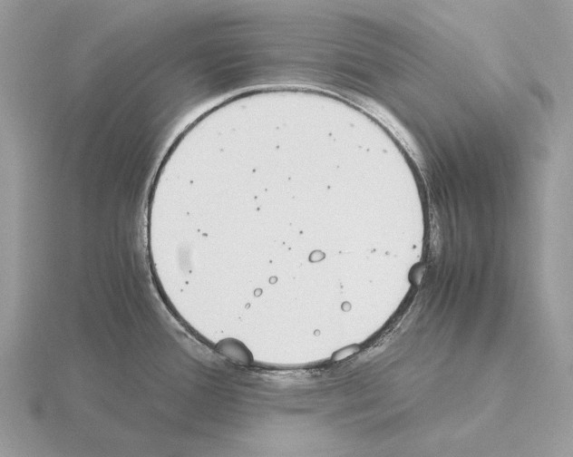 X0000115301388200912141107