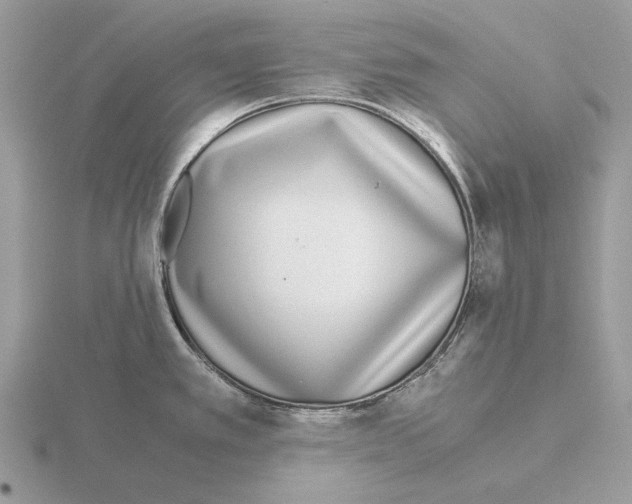 X0000115301389200912141107