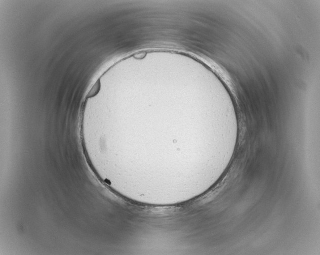 X0000115301390200912141107