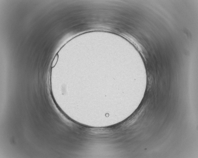 X0000115301391200912141107