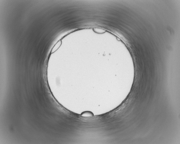 X0000115301392200912141107