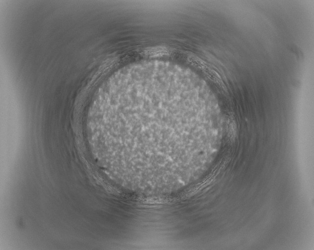 X0000115301393200912141107