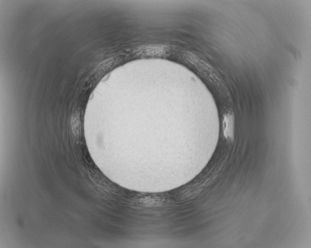 X0000115301395200912141107