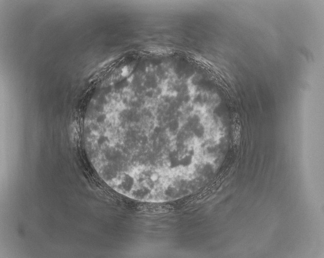 X0000115301397200912141107