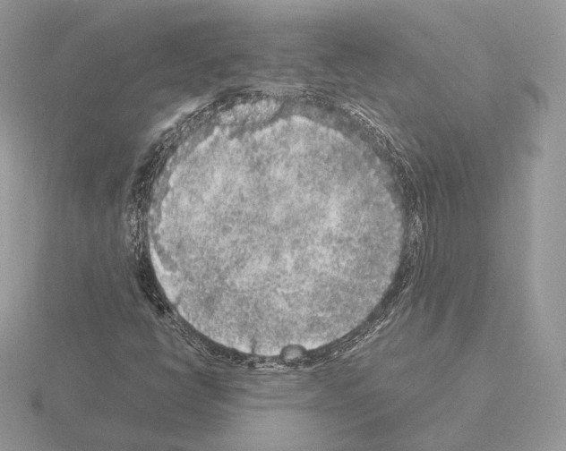 X0000115301398200912141107