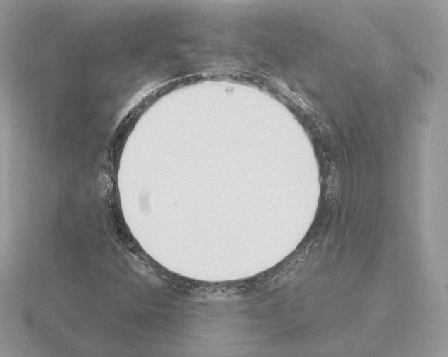 X0000115301400200912141107