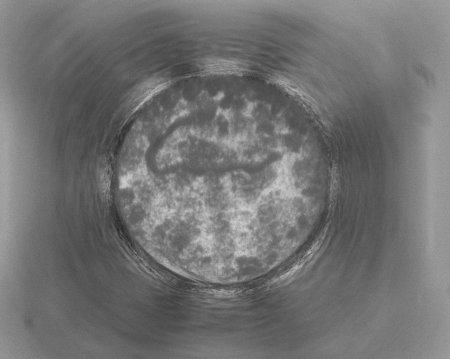 X0000115301401200912141107