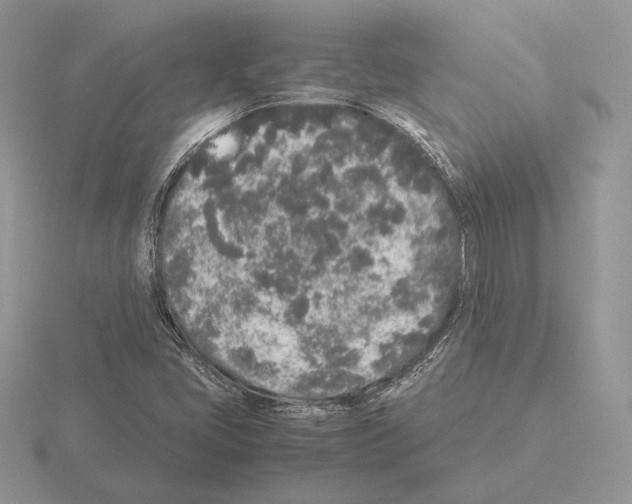 X0000115301405200912141107