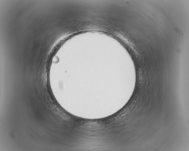 X0000115301408200912141107