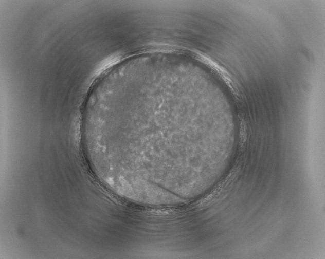 X0000115301411200912141107