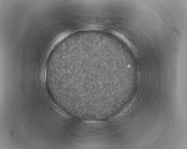 X0000115301413200912141107