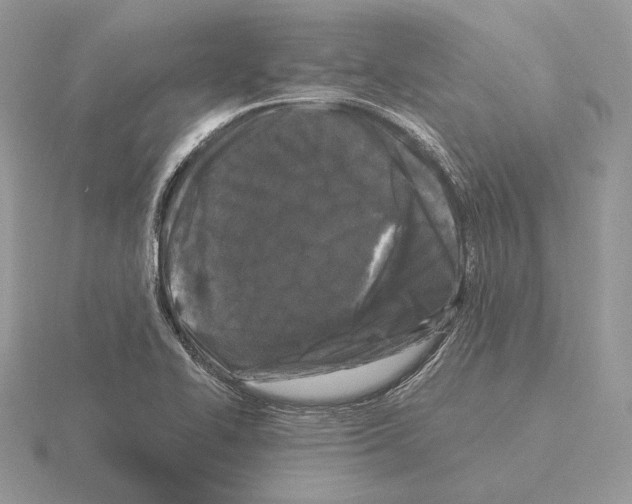 X0000115301414200912141107