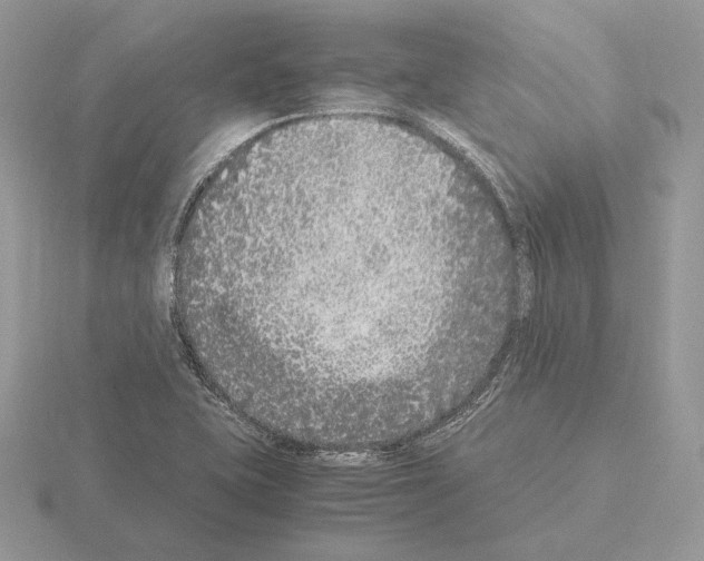 X0000115301415200912141107